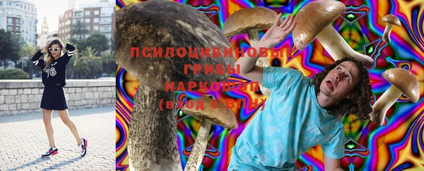 кристаллы Абаза