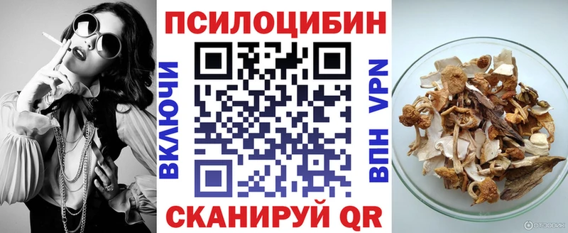 Псилоцибиновые грибы Magic Shrooms  где можно купить   Нерчинск 